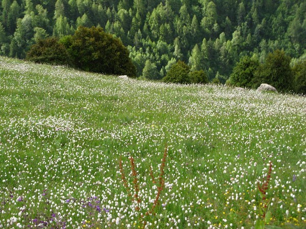四姑娘山冬日旅行,2022年冬天四姑娘山游记