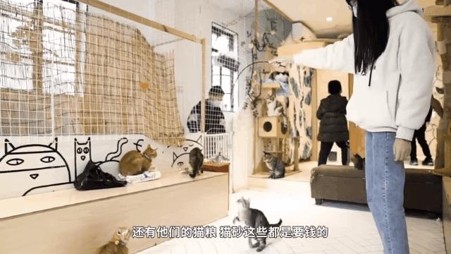 鐚吇浜虹被,鐚吇鍏殑绮樹汉杩樻槸姣嶇殑绮樹汉