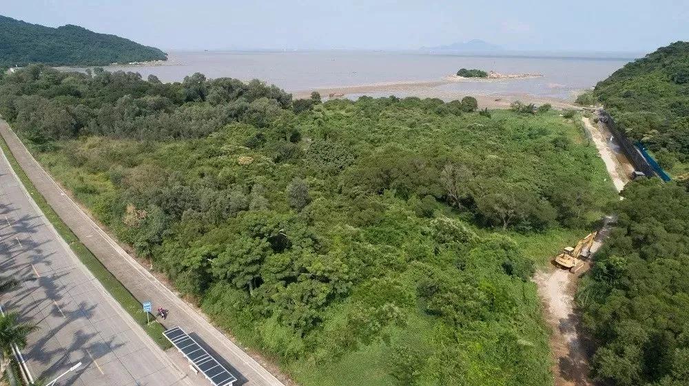 鼓浪屿必去的海岛,珠海坐船去鼓浪屿