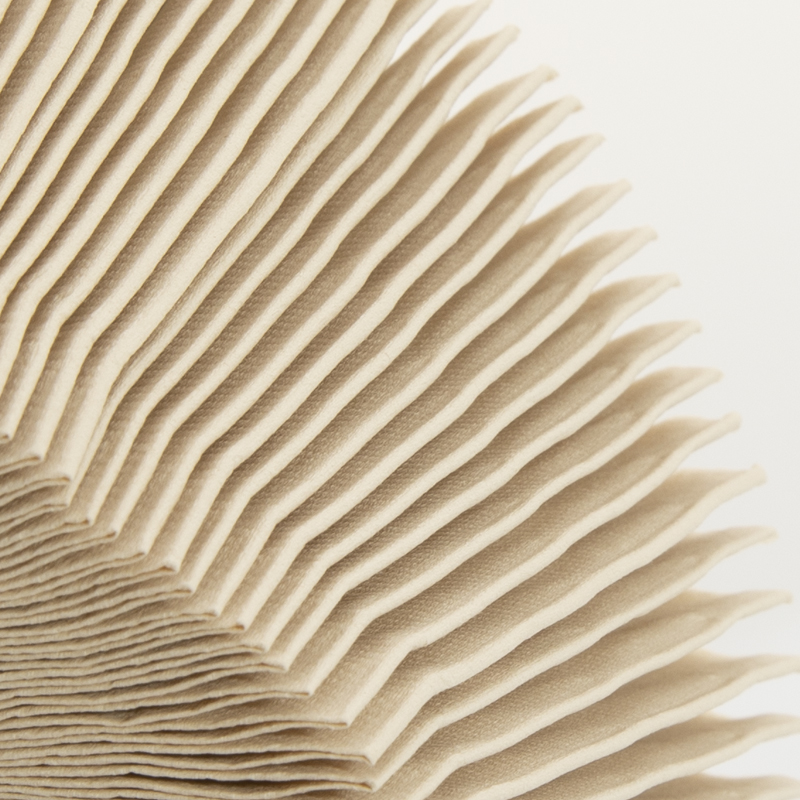 一张纸巾遇到的肤色歧视，白色纸or本色纸究竟哪种更好？