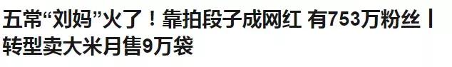农民养猪为何难以致富,养猪致富案例视频
