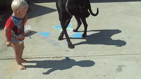 孩子胆小，家长越说不怕越害怕，做到这3点，才是战胜恐惧关键