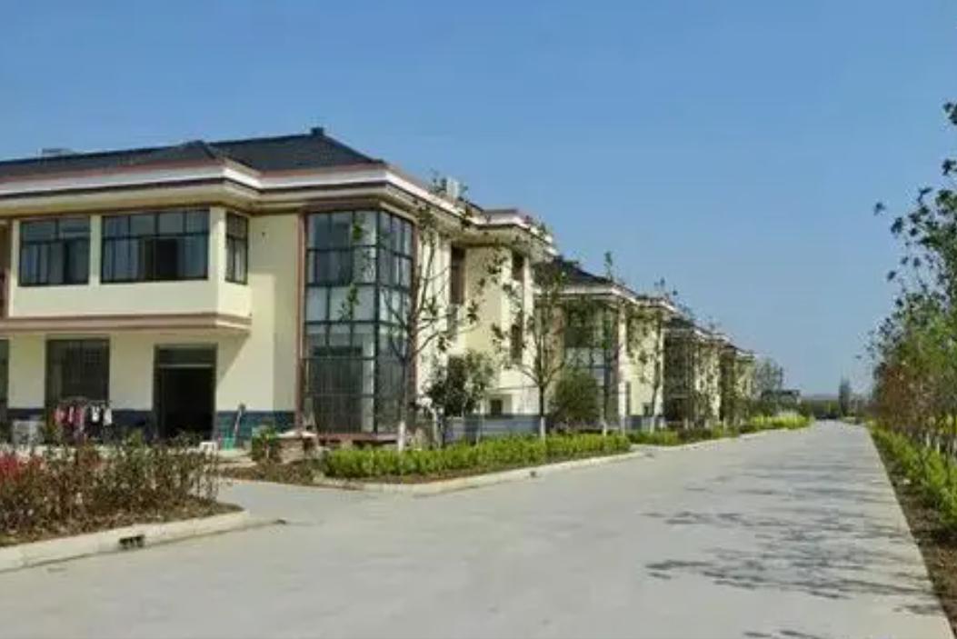 中国农村有钱人家的别墅豪宅,广东富豪农村送别墅