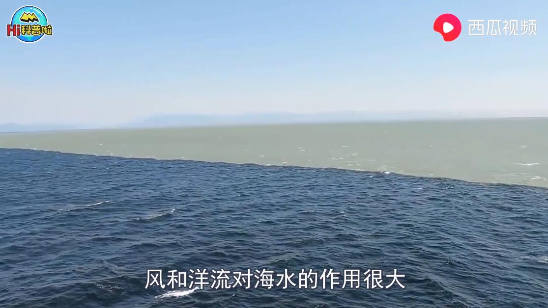 同样是海水，为什么大西洋与太平洋的海水不相融西瓜视频Hi科普啦