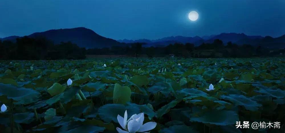 夏夜诗词佳句:松间小槛接波平,月澹烟沉暑气清