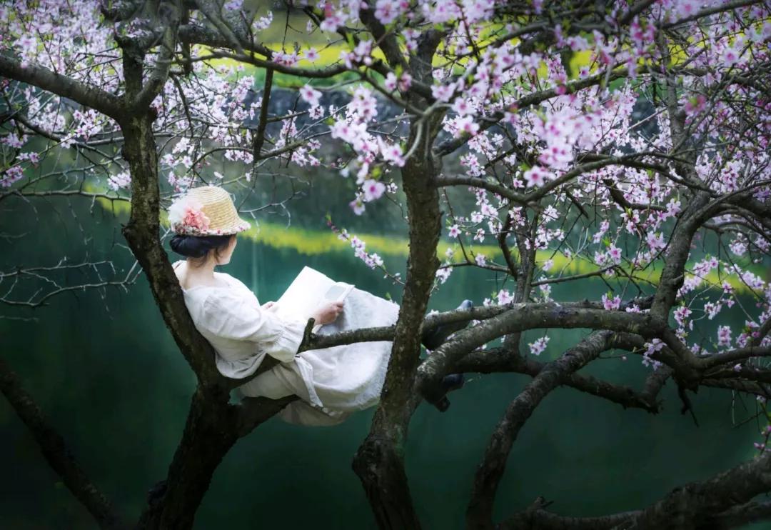 马云去的江西小镇,马云在浙江几个小镇