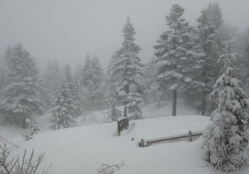 15天8000里，我们刚去名古屋和日本人抢了个五一假期