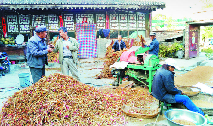 庆丰收感党恩山东各地丰收节活动,庆丰收感党恩宴席背景图片