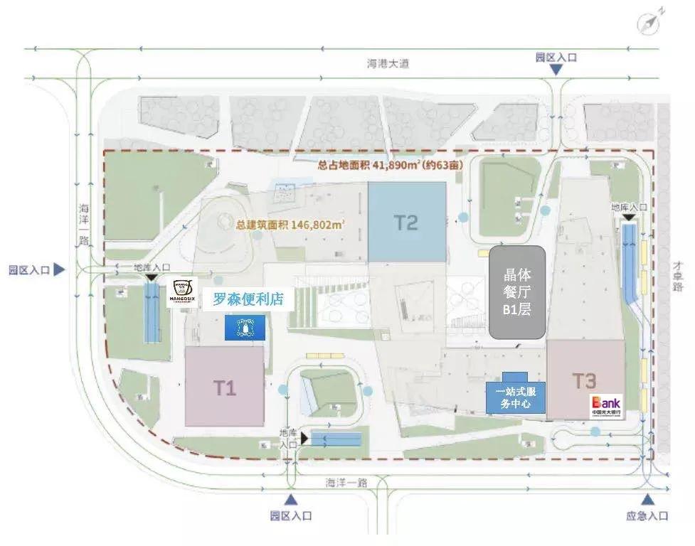 光大银行新网点,光大银行新区分行