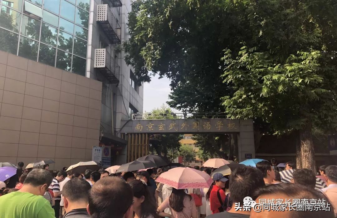 仙外此次难爆了？玄外仙外2019面测真题来啦