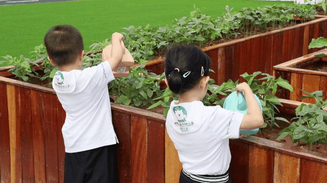 泉州金碧辉煌的幼儿园,泉州幼儿园空间设计效果图
