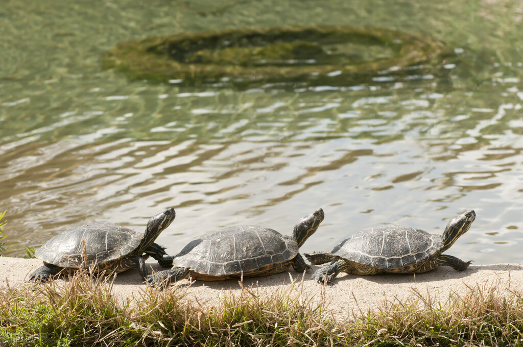 阳气不足的人不能用经方,阳气不足怎样扶阳