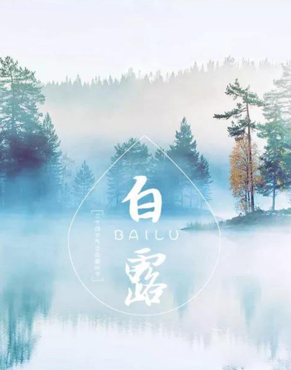 二十四节气白露寓意,二十四节气白露卡通