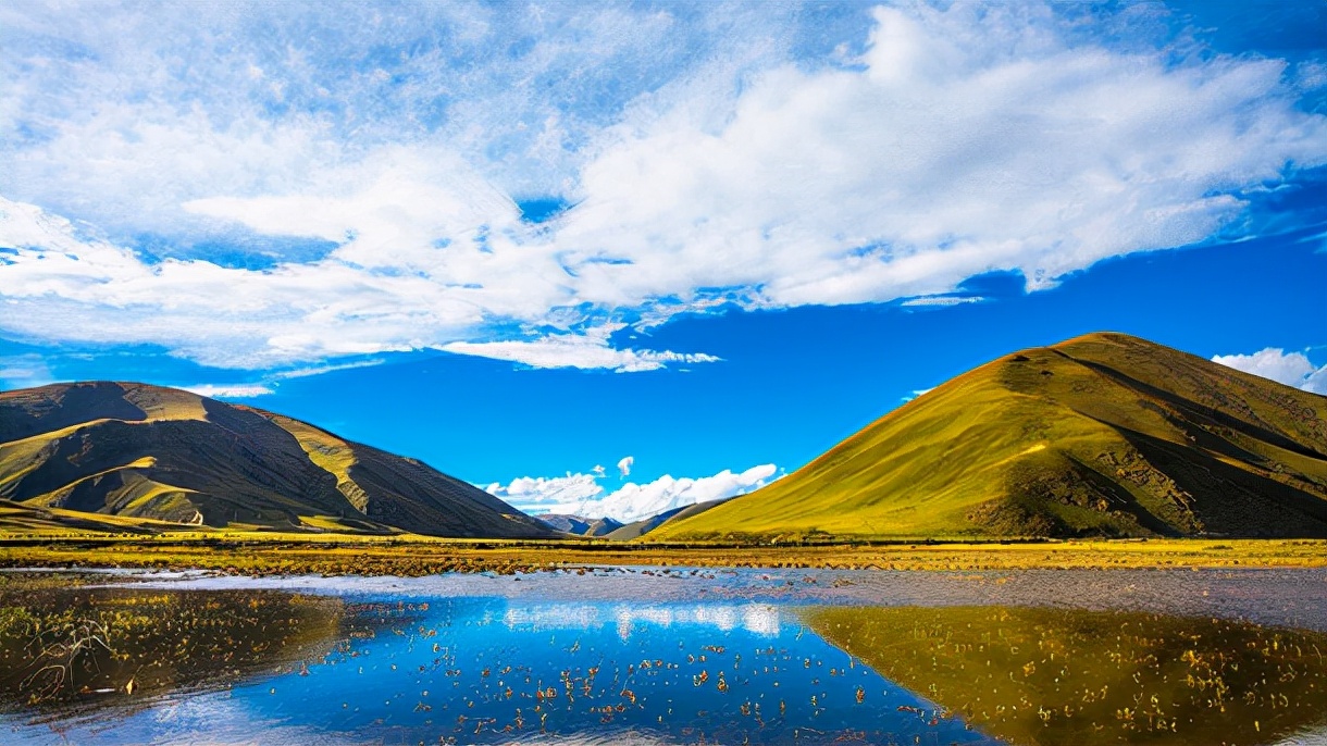 带「怡」字堂堂正正的宝宝名，真的是一名一气质