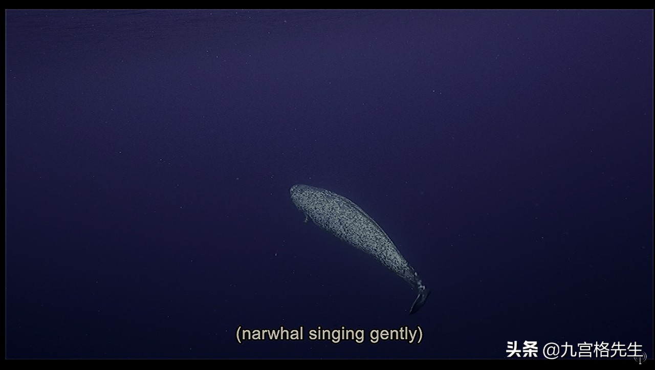 系统简洁手机,泰捷电视盒子we30c为啥比we60c贵