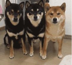 你必须知道的三个宇宙法则,你必须知道的基本法则