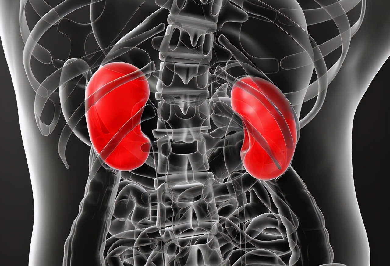 喝水越多越伤肾怎么喝水最健康,喝水越多对肾脏的损害就越大