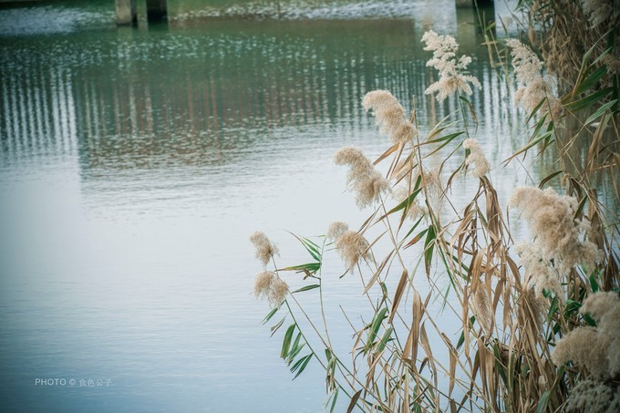 珠海横琴除了长隆还有什么东西玩,横琴有哪些景点可以玩儿