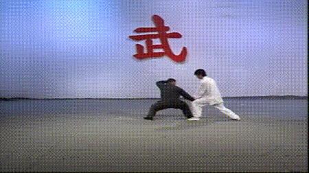 螳螂拳的实战杀法,最猛螳螂拳全套慢动作教学