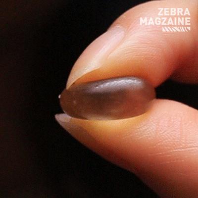 魔都首杯OK茶，低卡高颜，我可以