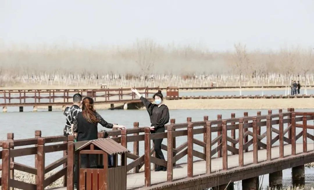 天津市五一新开放的公园,天津地区春暖花开的时间