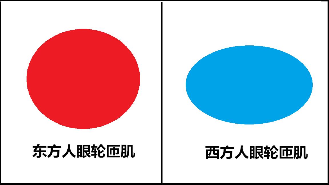 双眼皮整形的真实经历,为什么做双眼皮医生术前不沟通