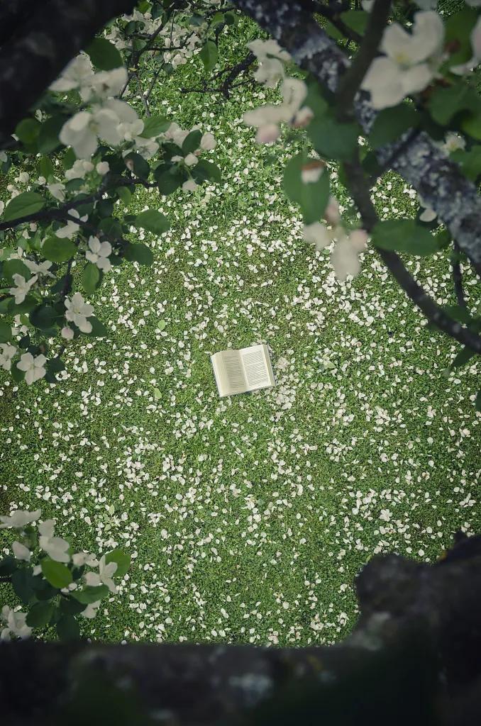 死活读不下去的书排行榜,无论如何都读不下去的书