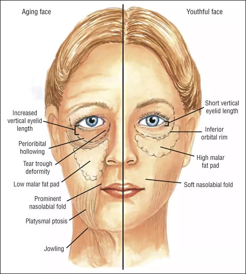 陶虹和谁搞微商,陶虹生图惊艳刷屏