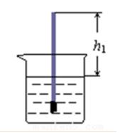 八年级物理自制密度计,物理八年级下册物理密度知识点