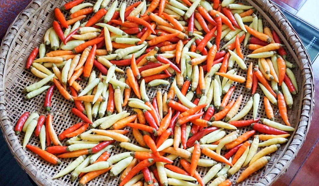 野山椒泡椒和小米辣泡椒,自做泡野山椒方法步骤