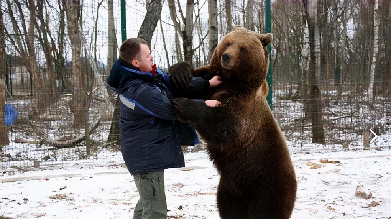 遇到熊如何自救搞笑,遇到熊怎么脱险