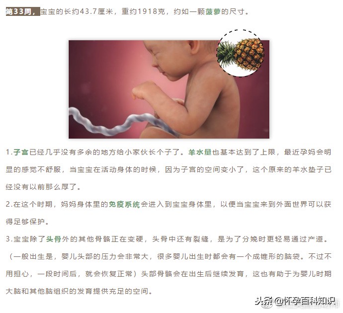 怀孕各个时期胎儿发育过程,怀孕的过程要几天