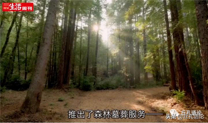 丘孔：2020年12月31日科技日课，每日补充科技前沿知识