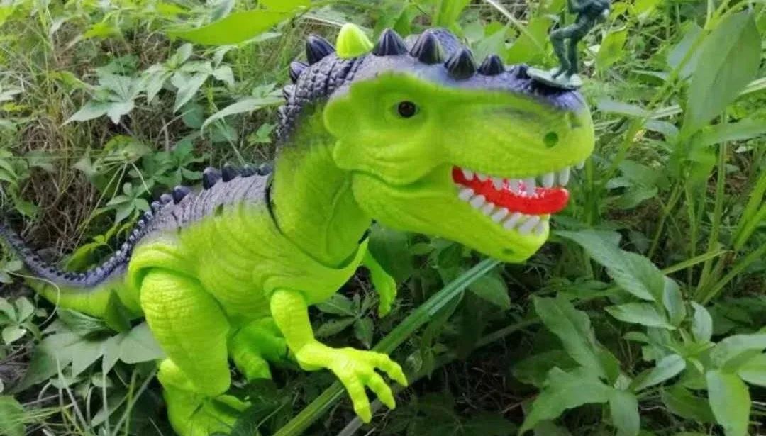 我收藏的宝贝,我收藏的宝贝硬币作文400字