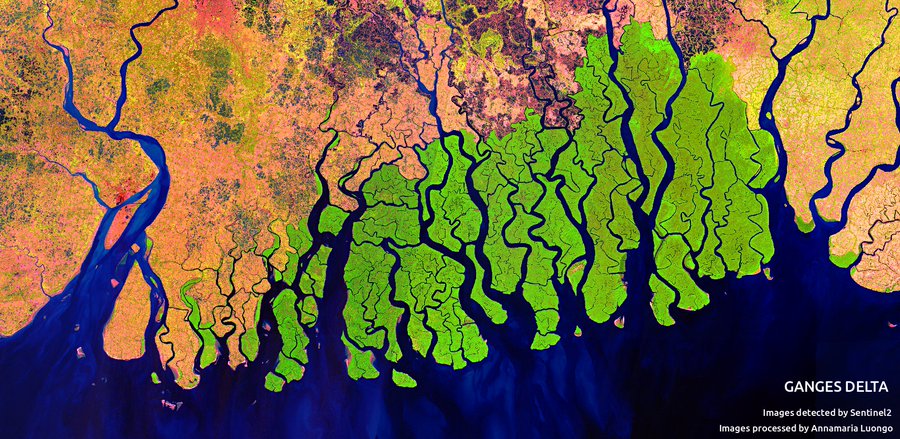 印度是什么社会制度,印度是五常吗