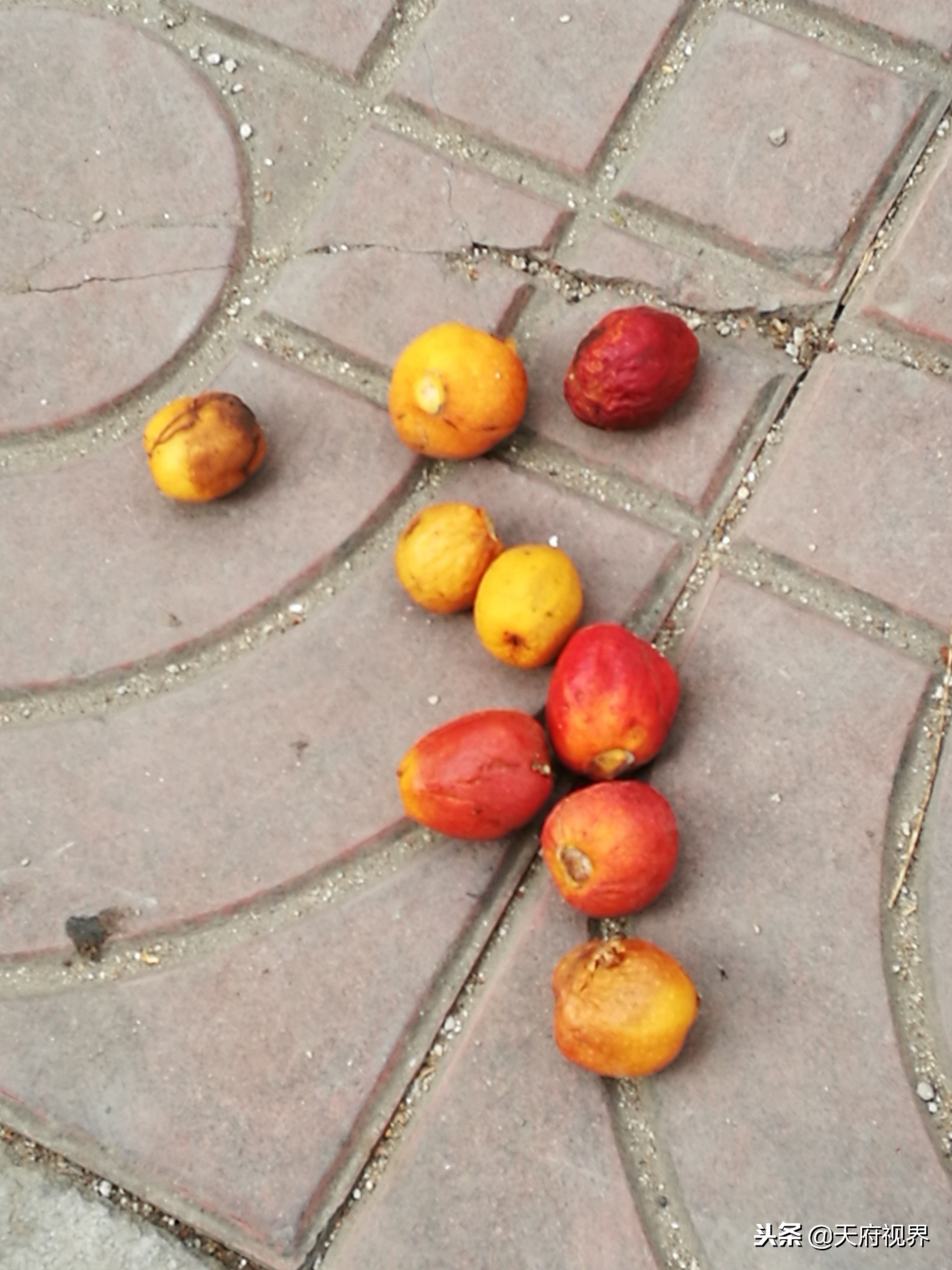 攀枝花盐边县新县城全景,攀枝花盐边县风景区