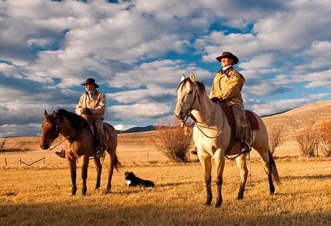 caravan口哨神曲简谱,caravan口哨纯音乐mp3免费下载