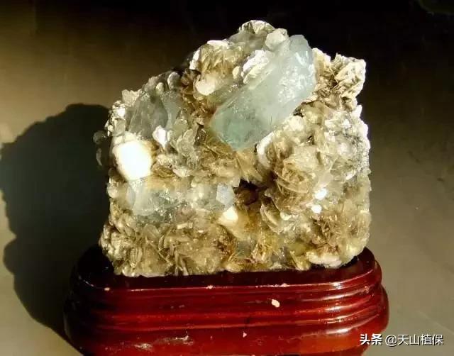 怎么捡到价值极高的石头,捡到一块石头价值千万