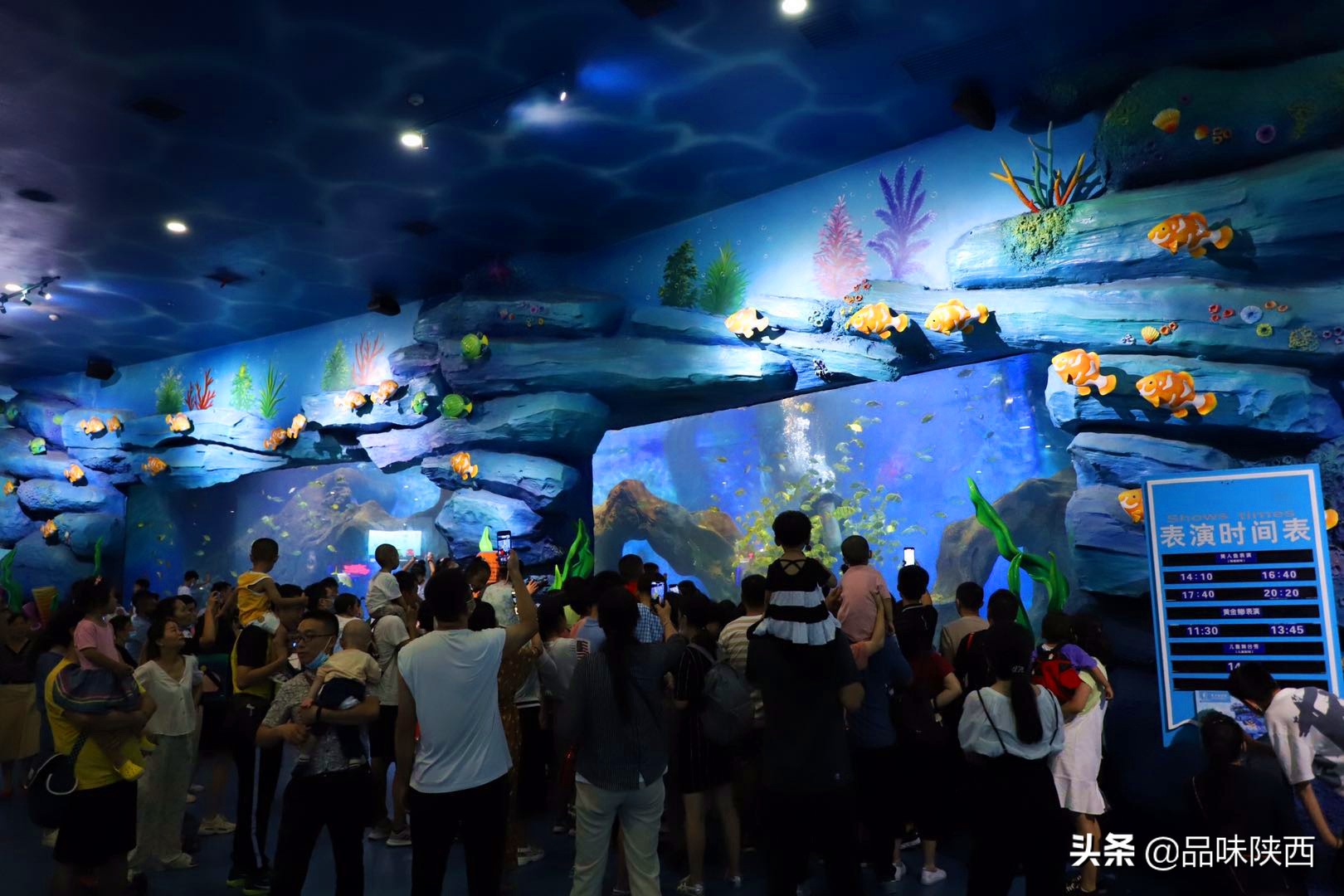 西安曲江海洋馆怎么样,西安曲江海洋馆有什么项目