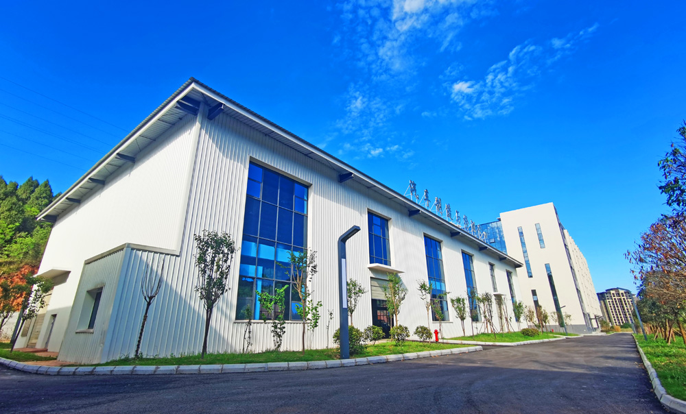 四川遂宁市有哪些公办大学,四川遂宁大学