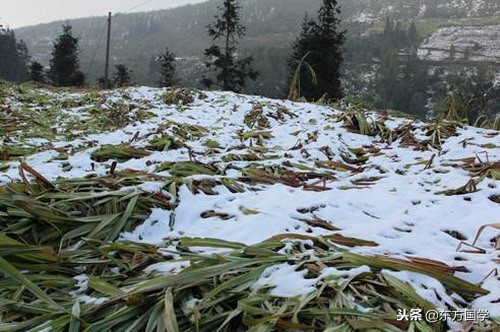 农村谚语“秋水老子冬水娘，浇好春水多打粮”，如何看待这句话？