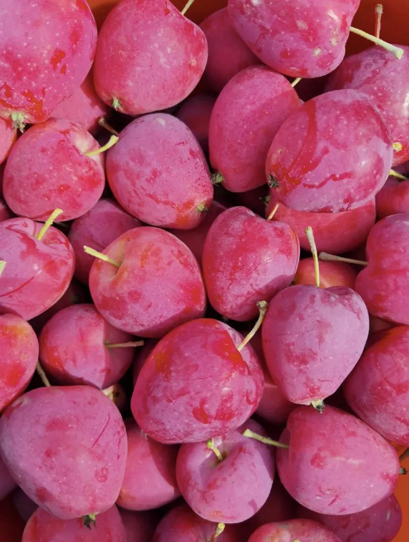 很好看的国货品牌,好吃的国货良心推荐