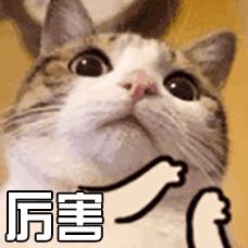 iphone的黑科技小配件,iphone黑科技功能大全