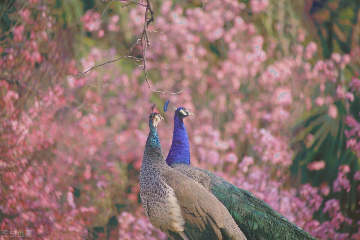 昆明市内游玩好去处 (云南昆明最值得玩的地方)