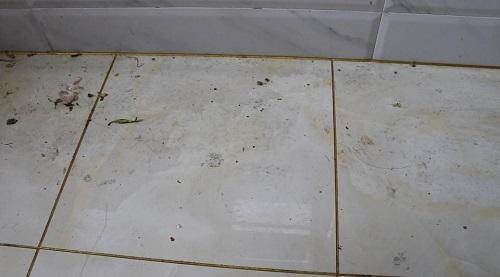 家里地板砖总是粘鞋子,清理厨房地面瓷砖的妙招