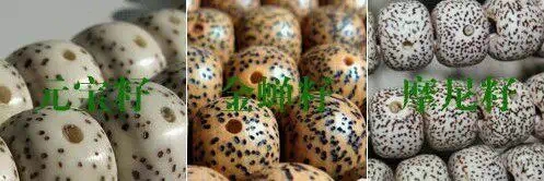 星月菩提的7大基本知识,盘点星月菩提的十大问题建议收藏