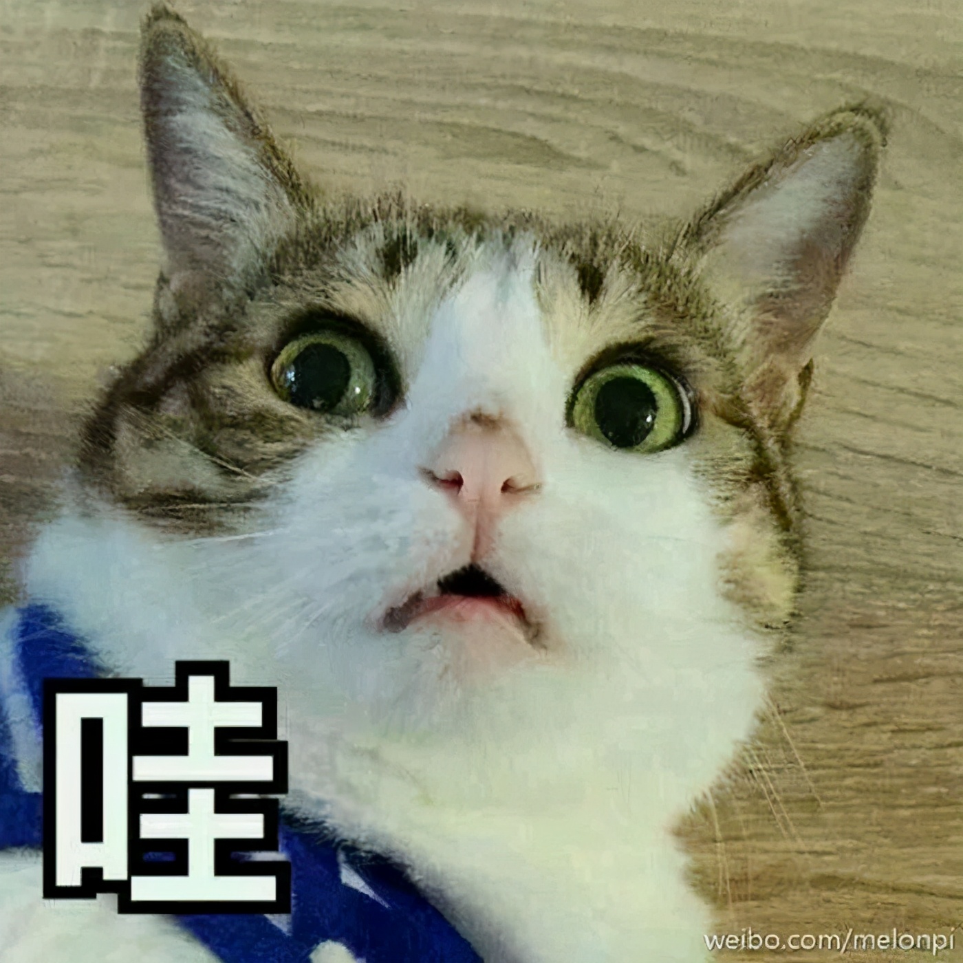 广东科学技术职业学院中专分数线,广东科学技术职业学院有本科嘛