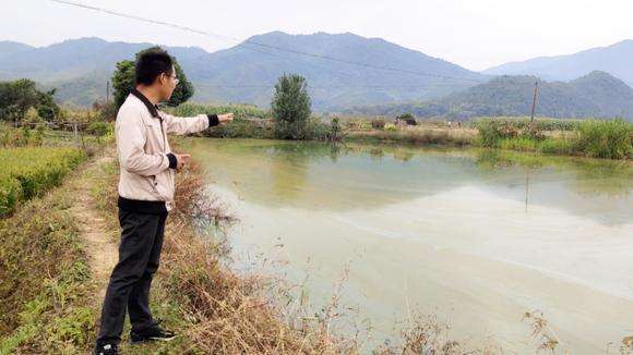 95后创业鱼塘,在农村如何开鱼塘