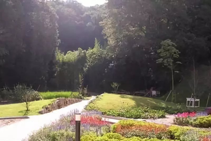 鍥壓鐤楁硶浠嬬粛,鍥壓鐤楁硶鐨勫垱鏂板強鐗圭偣