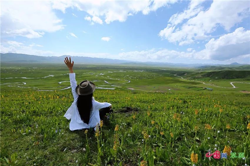 大梅看草原丨盛夏的甘南玛曲，美得脱俗惊艳